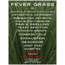 Load image into Gallery viewer, Fever Grass
