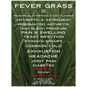 Fever Grass