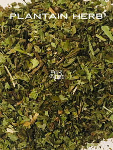 Plantain Herb