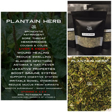 Load image into Gallery viewer, Plantain Herb
