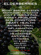Load image into Gallery viewer, Elderberries
