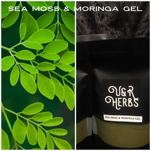 Sea Moss & Moringa Gel