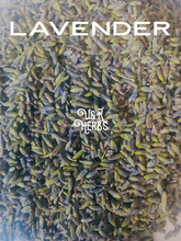 Load image into Gallery viewer, Lavender
