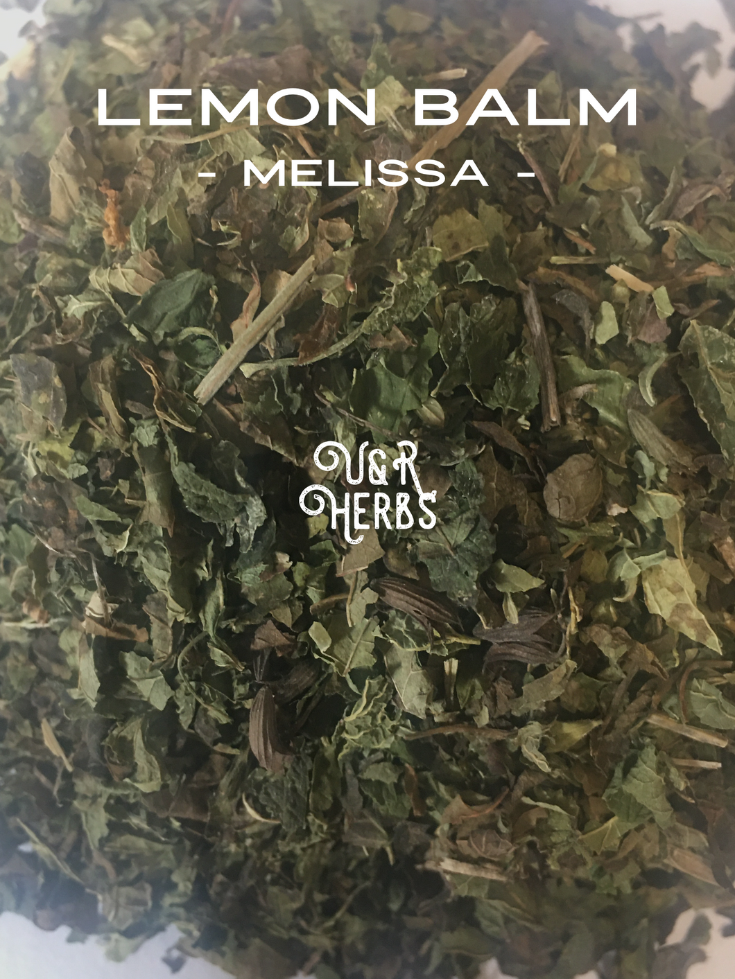 Lemon Balm - Melissa