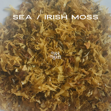Load image into Gallery viewer, Raw Sea / Irish Moss
