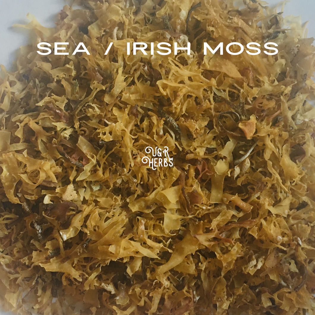 Raw Sea / Irish Moss
