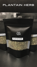 Load image into Gallery viewer, Plantain Herb
